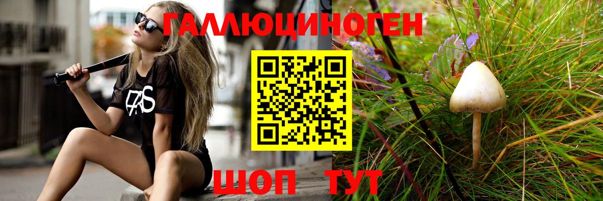 Псилоцибиновые грибы GOLDEN TEACHER Добрянка