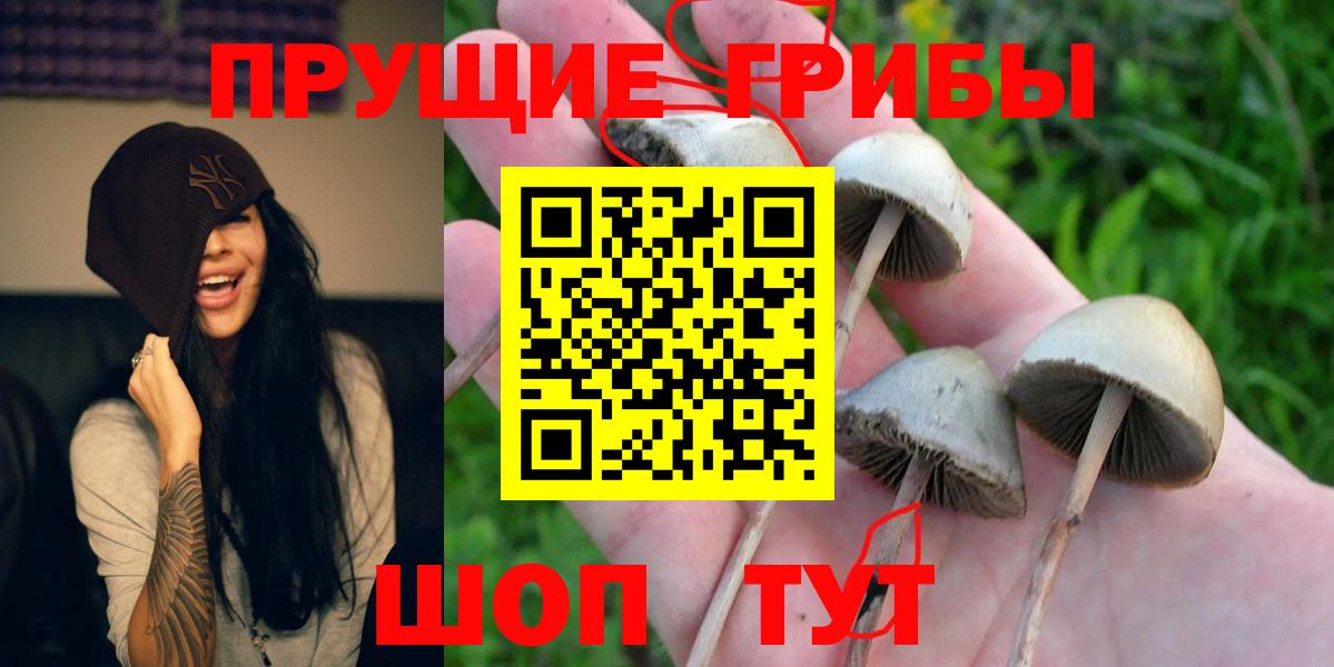 наркотики  Псилоцибиновые грибы Cubensis  Вход с VPN  Добрянка 